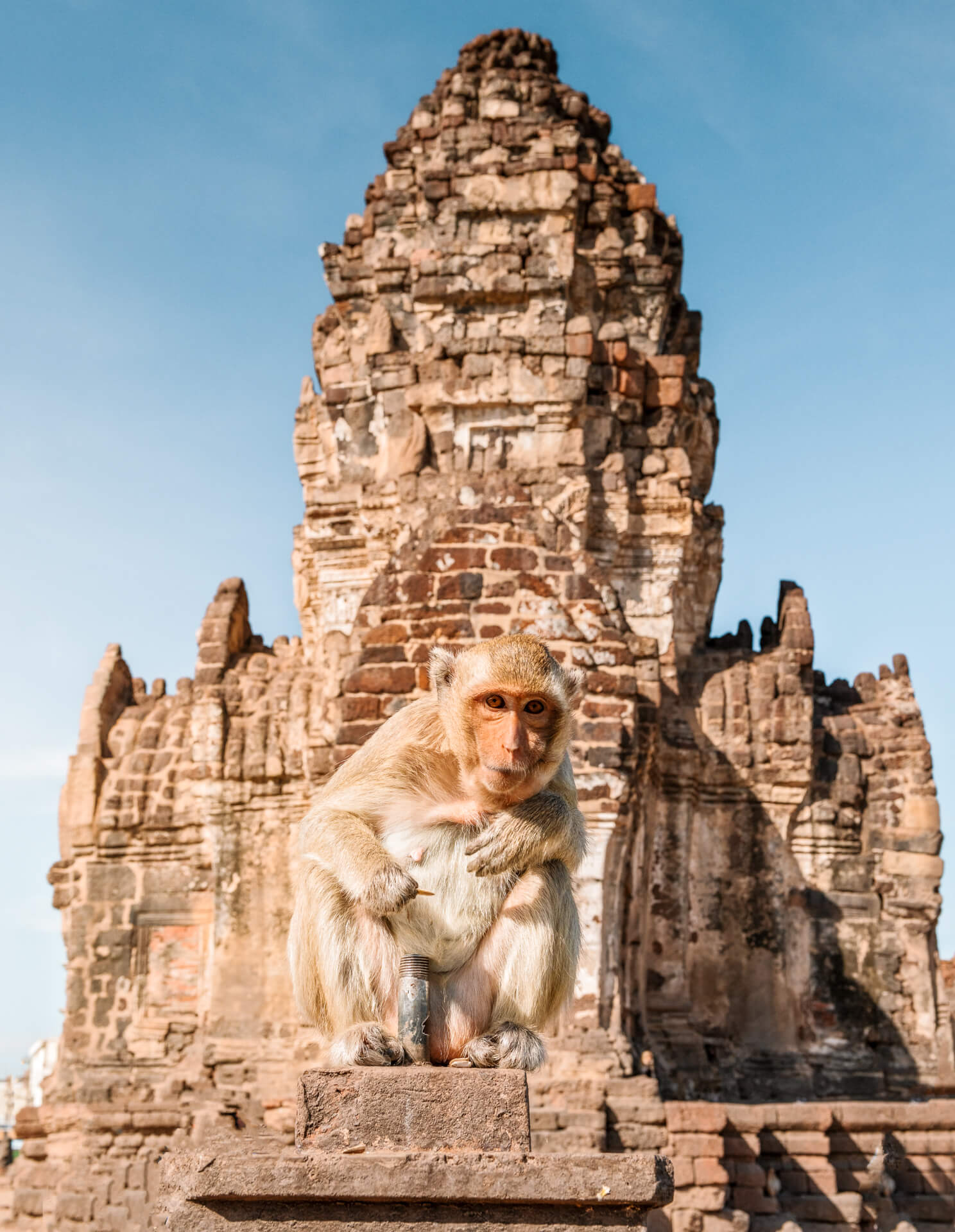 places to visit in Thailand Lopburi temple monkey