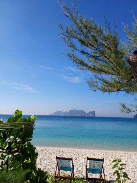 Two empty beach chairs face the calm blue sea at Paradise Bungalows, with distant Phi Phi islands under a clear sky, framed by green plants and a tree branch.