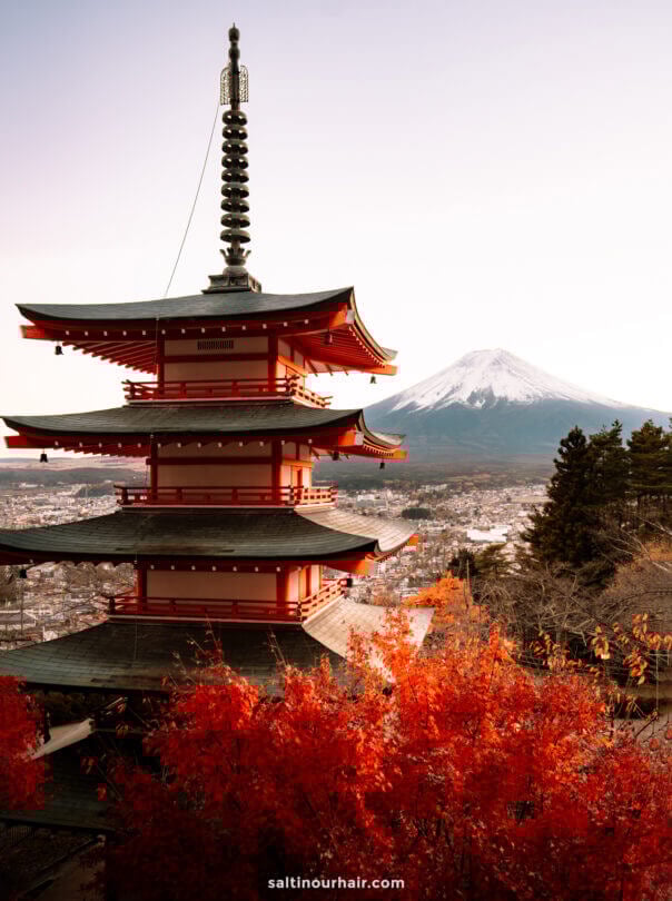 Chureito Pagoda stands among red autumn foliage, with Mount Fuji visible in the background under a clear sky, capturing the serene beauty of autumn in Japan.