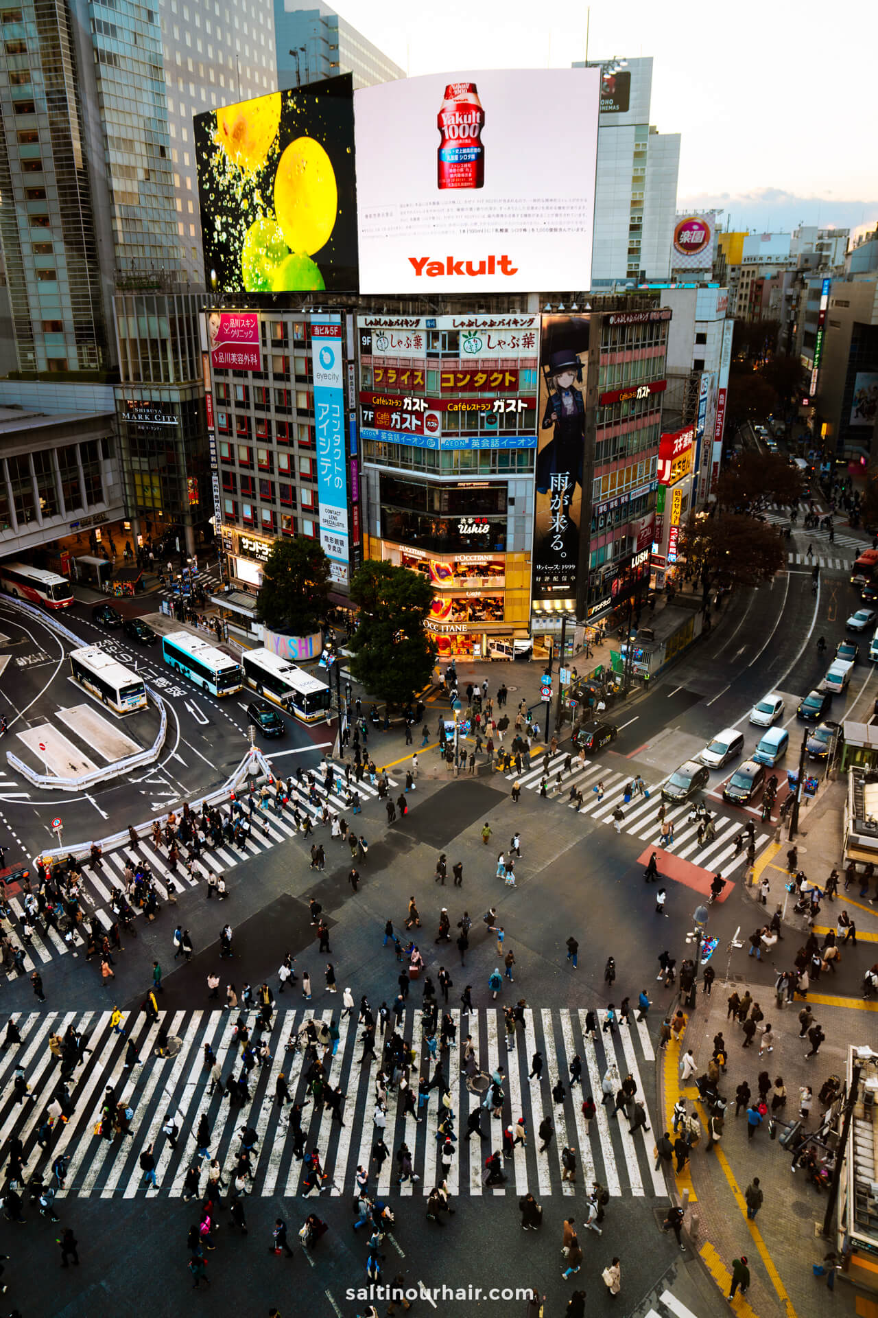 best things to do tokyo japan shibuya crossing 