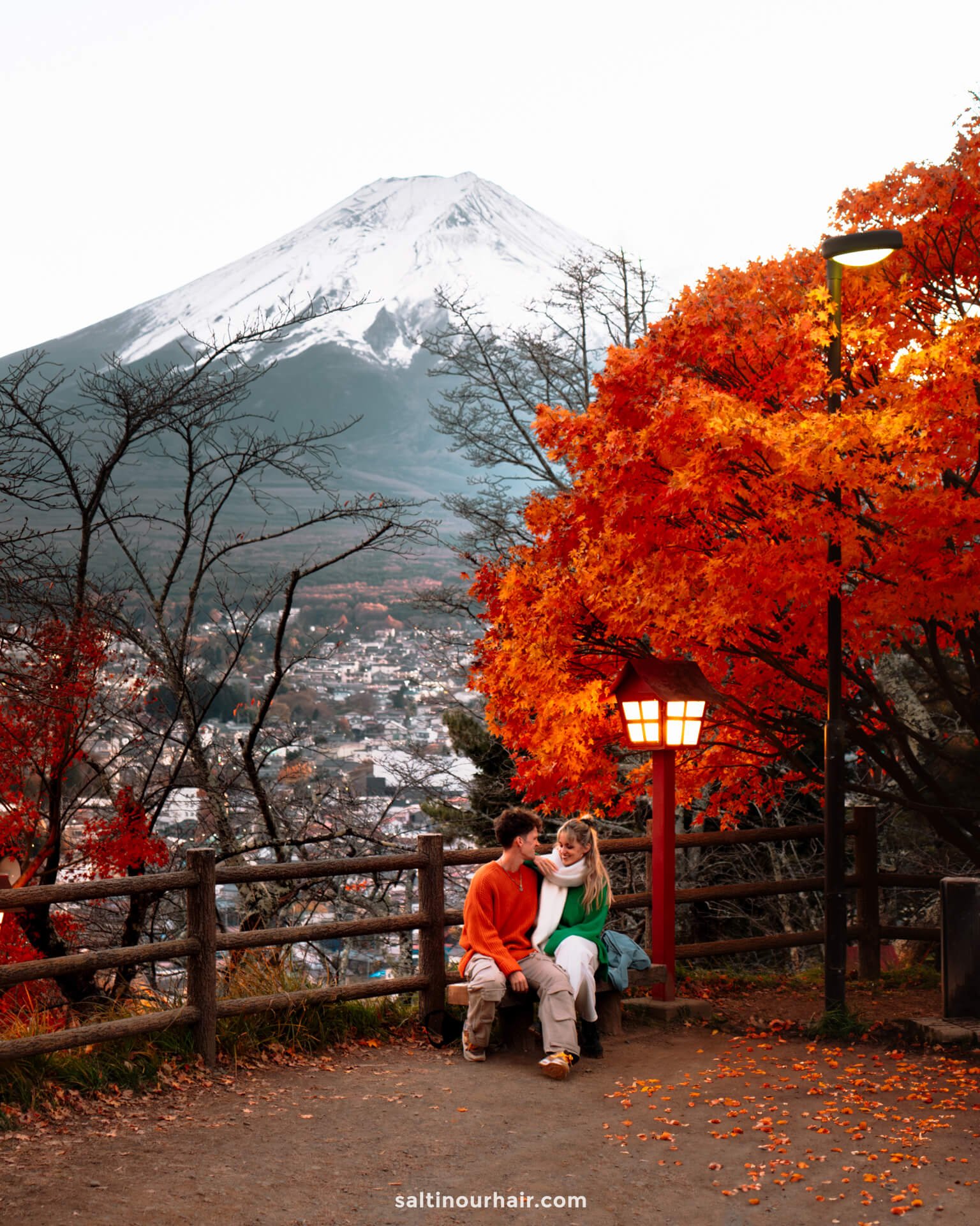 view mount fuji japan autumn