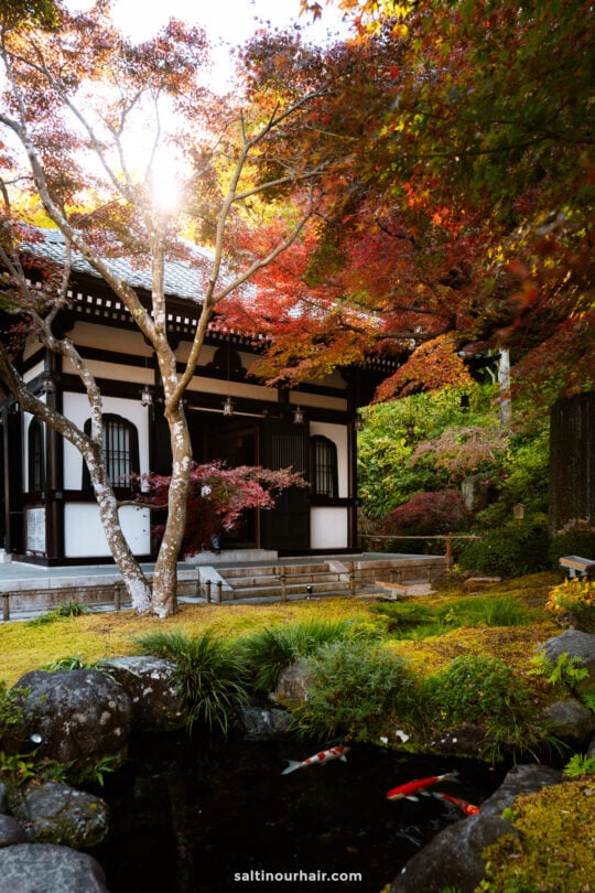 temple kamakura japan day trip from tokyo