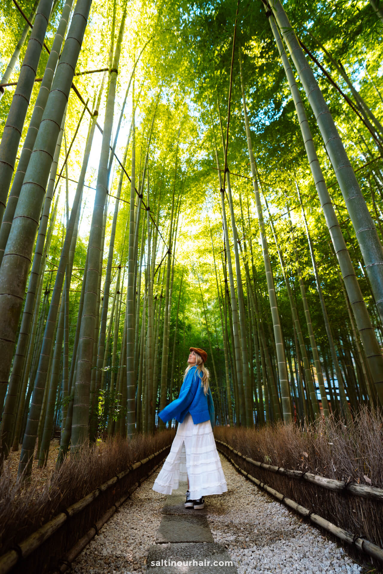 japan things to see HÅkoku-ji Bamboo Forest kamakura