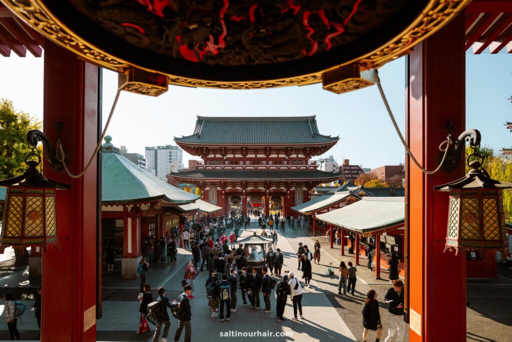 Let us make your Japan trip easier