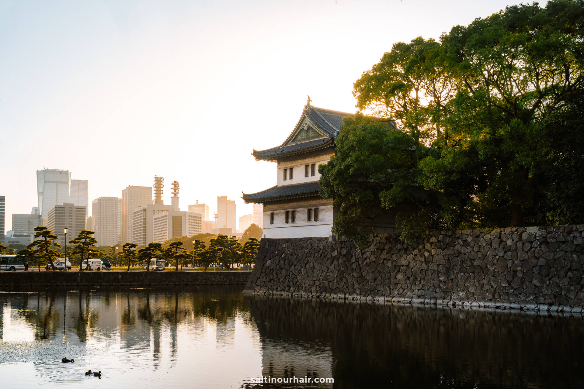 things to do in Tokyo imperial palace