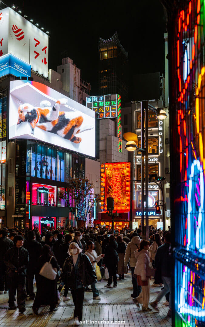 TOP 15 THINGS TO DO IN JAPAN visual data 7