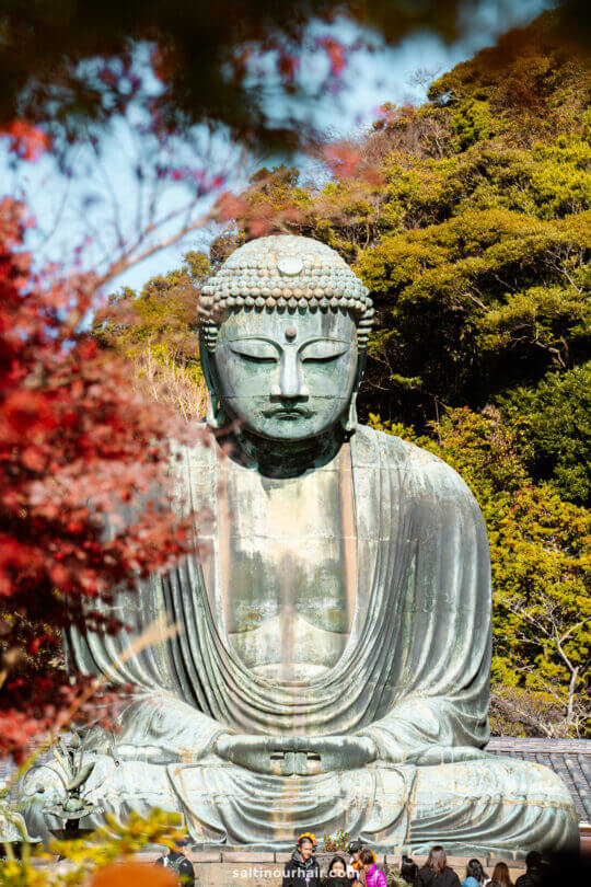 things to do in Tokyo japan kamakura buddha