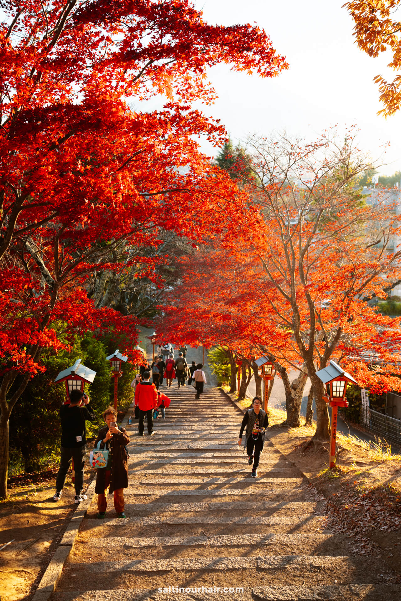autumn colors japan