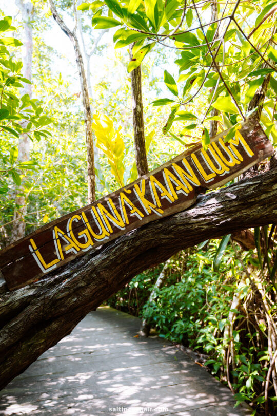 laguna kaan luum sign things to do in Tulum