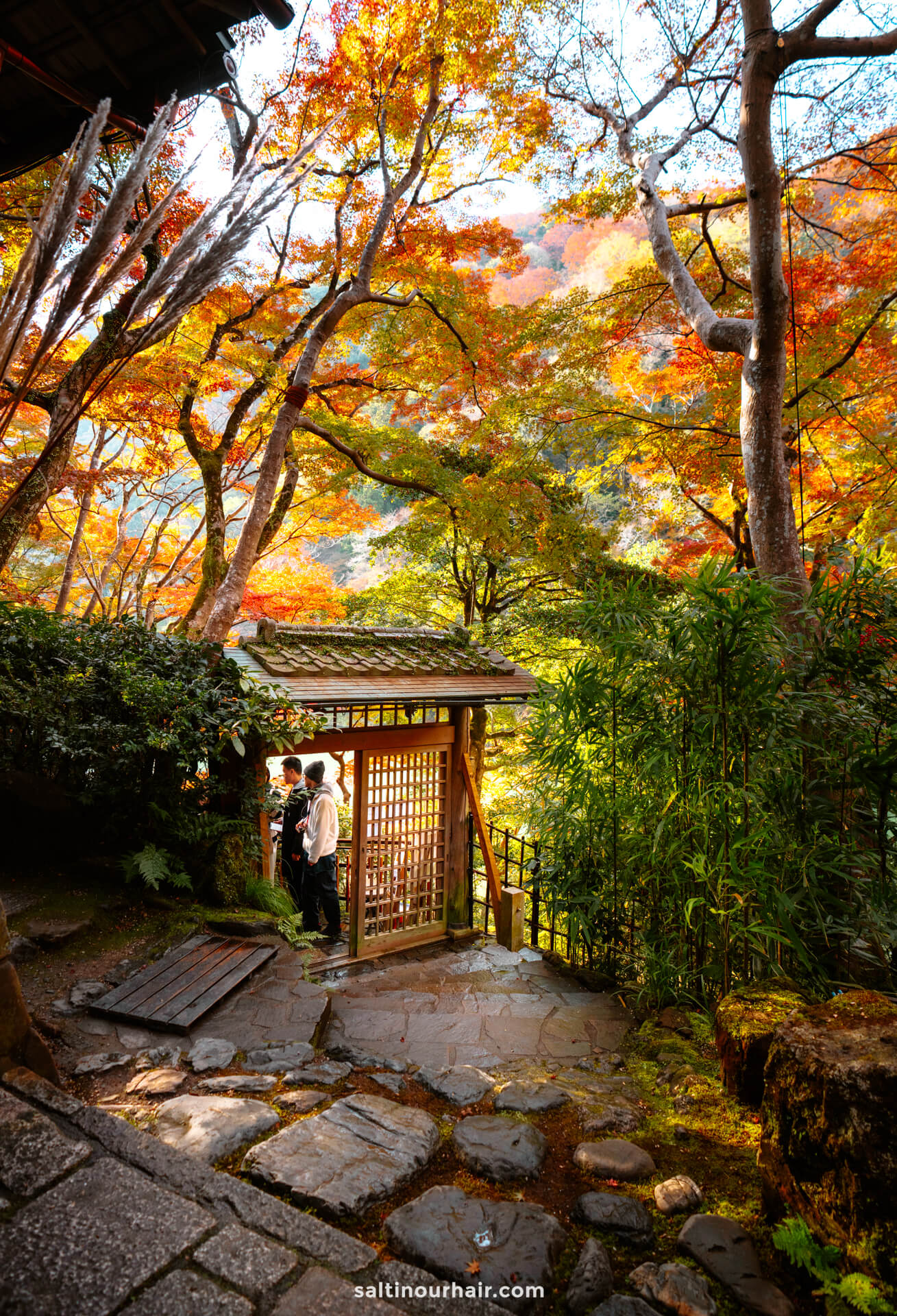 travel kyoto japan in autumn