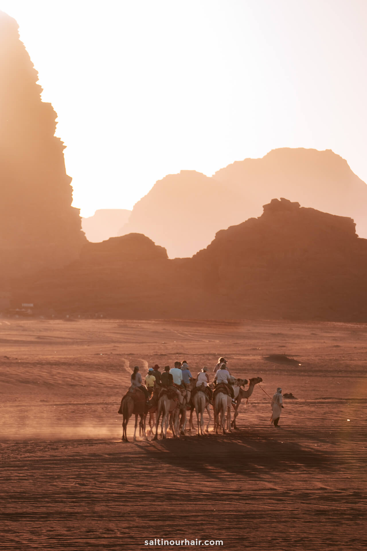 camel group Wadi Rum Jordan