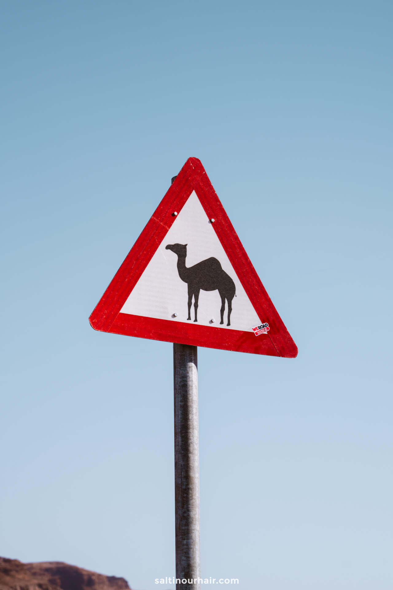 Camel sign Wadi Rum Jordan