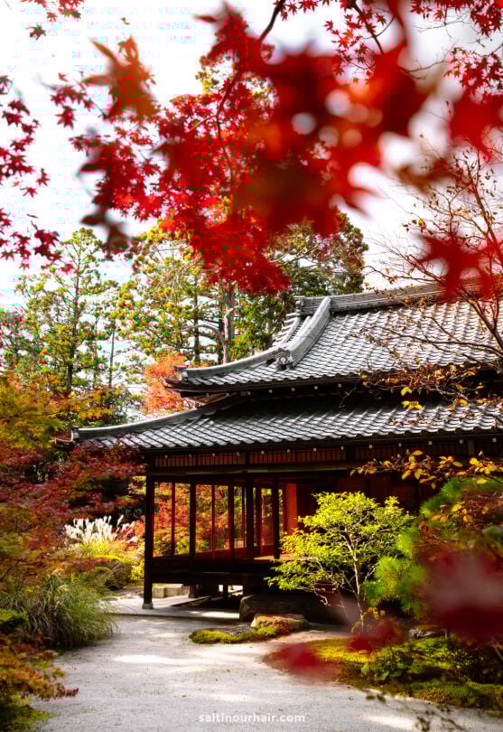 Traditional Japanese building in Kyoto, Japan, surrounded by vibrant autumn foliage, with red and green leaves framing the scene under a bright sky.