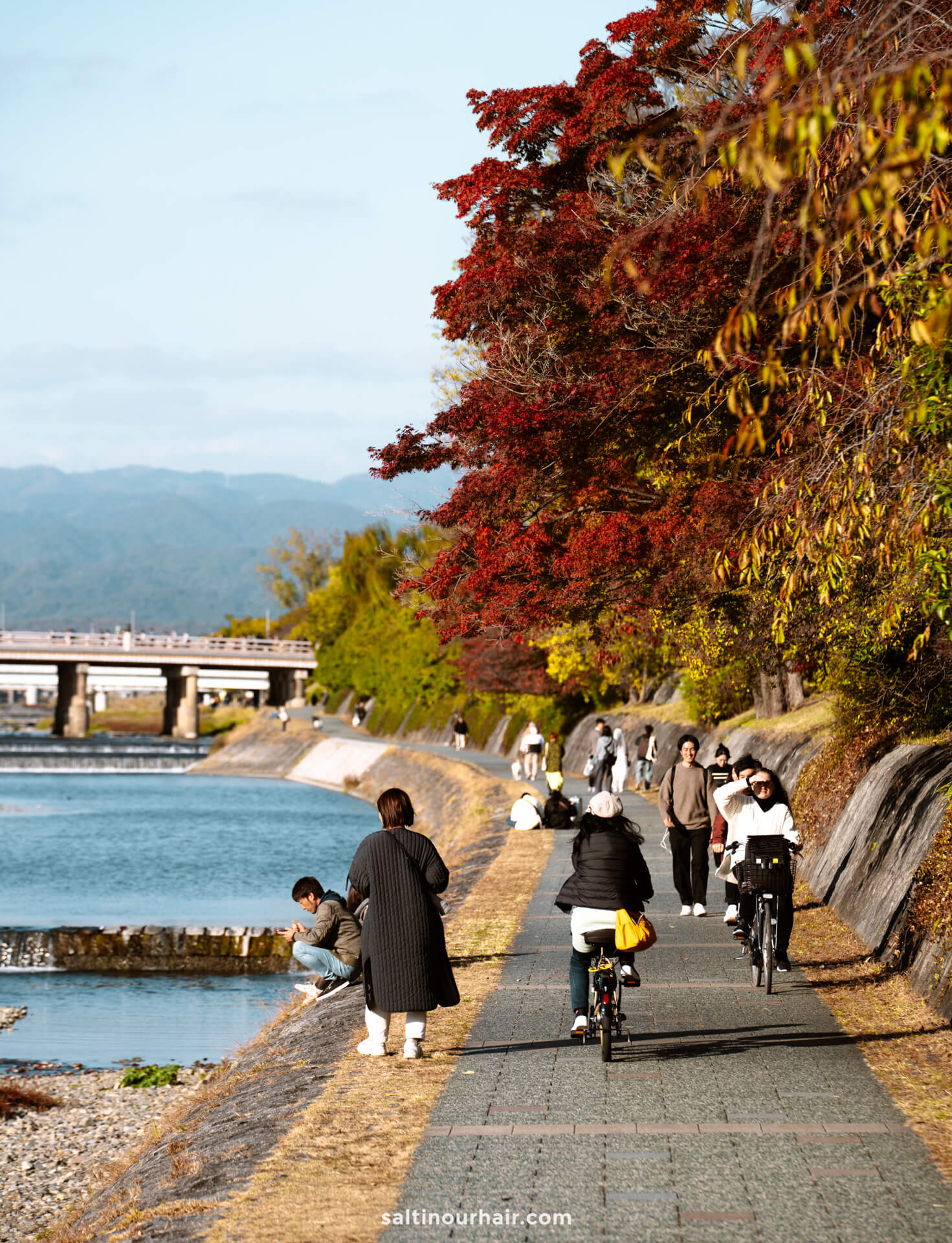 bike along the river of kyoto