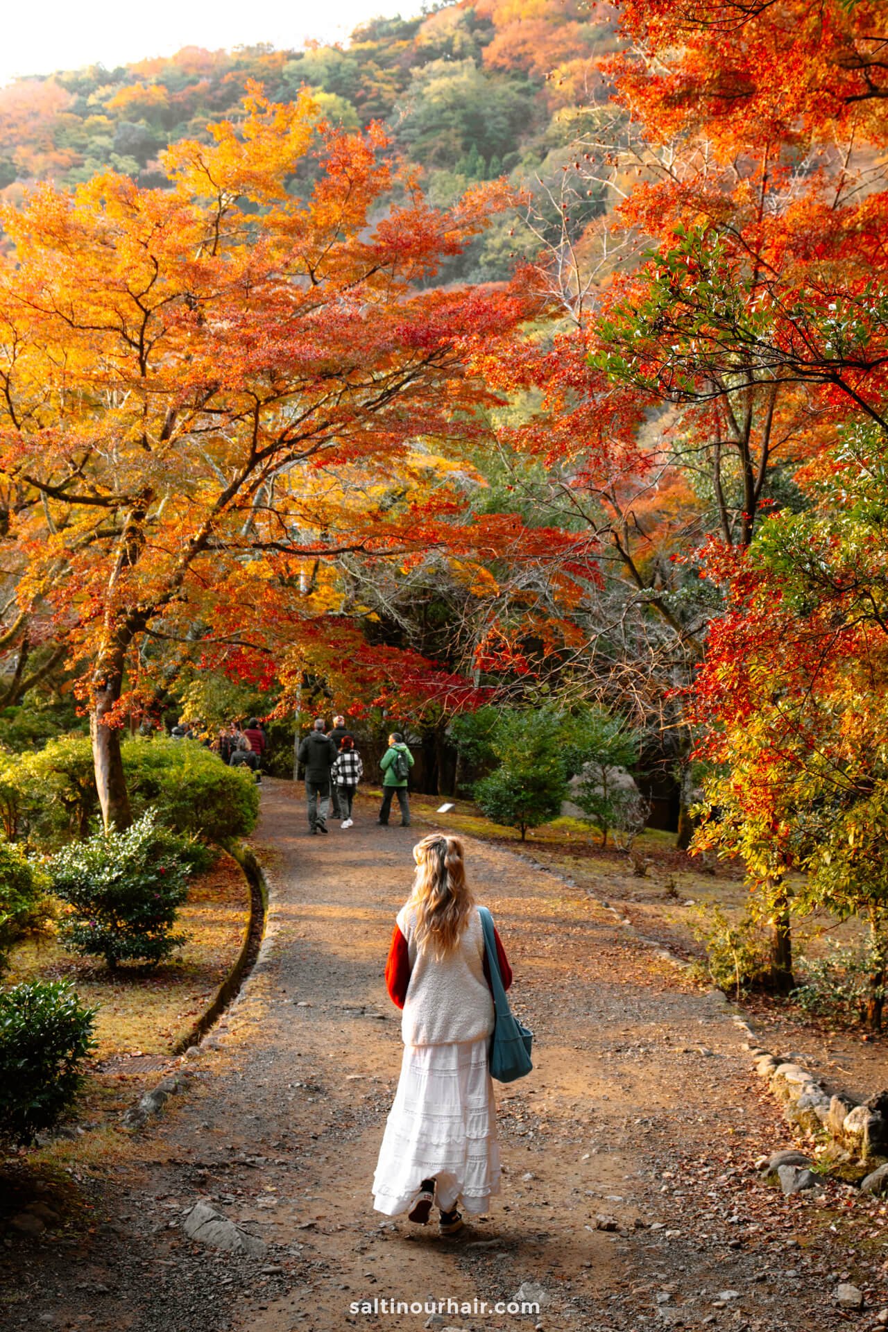 fall Kyoto garden japan 2 week itinerary