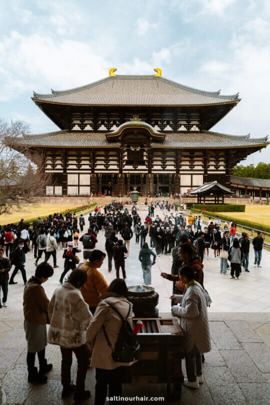 3 week japan itinerary nara park todai ji temple