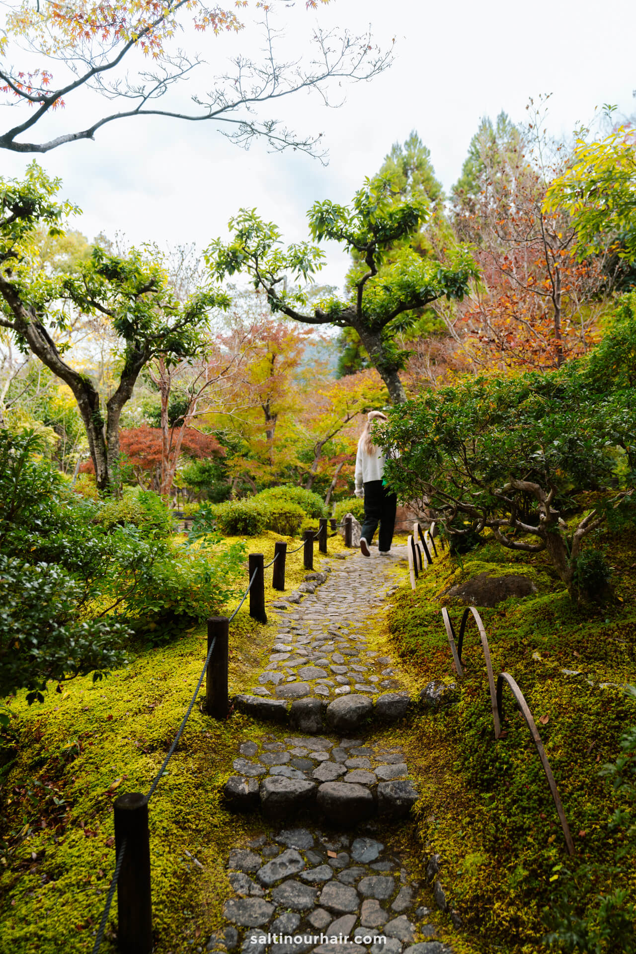 Manyo Botanical Gardens things to do in Nara Japan