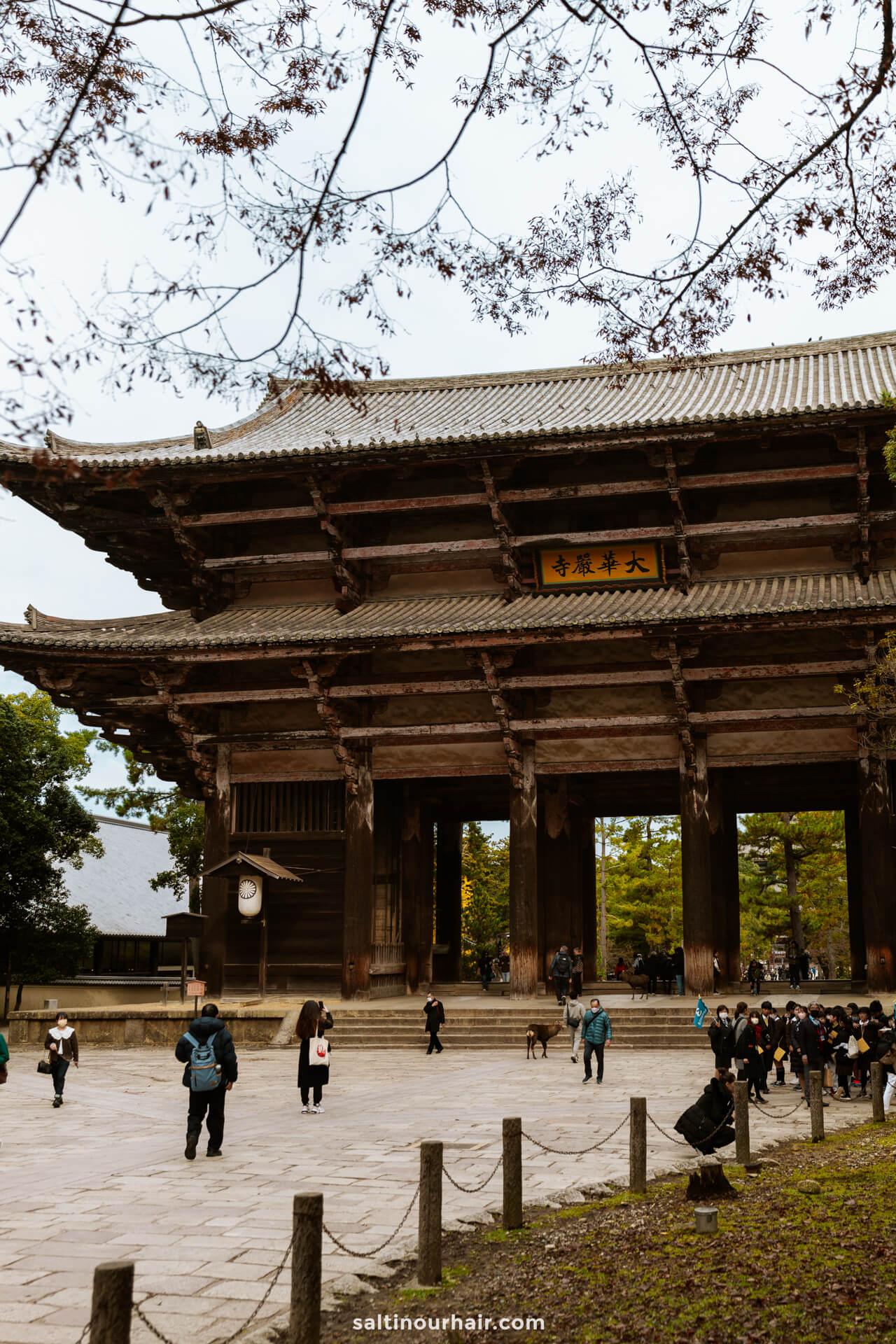temple things to do in Nara Japan