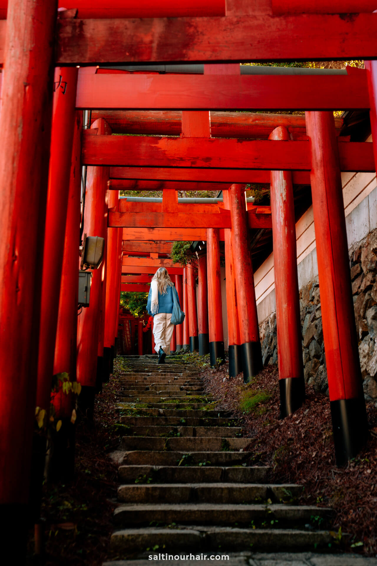 tori gates koyasan Japan