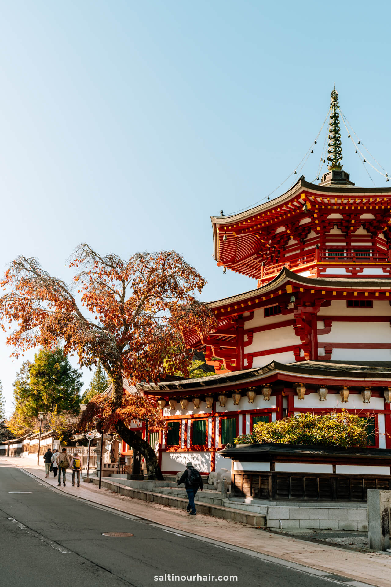 How to get from Kyoto to Koyasan japan 2 week itinerary