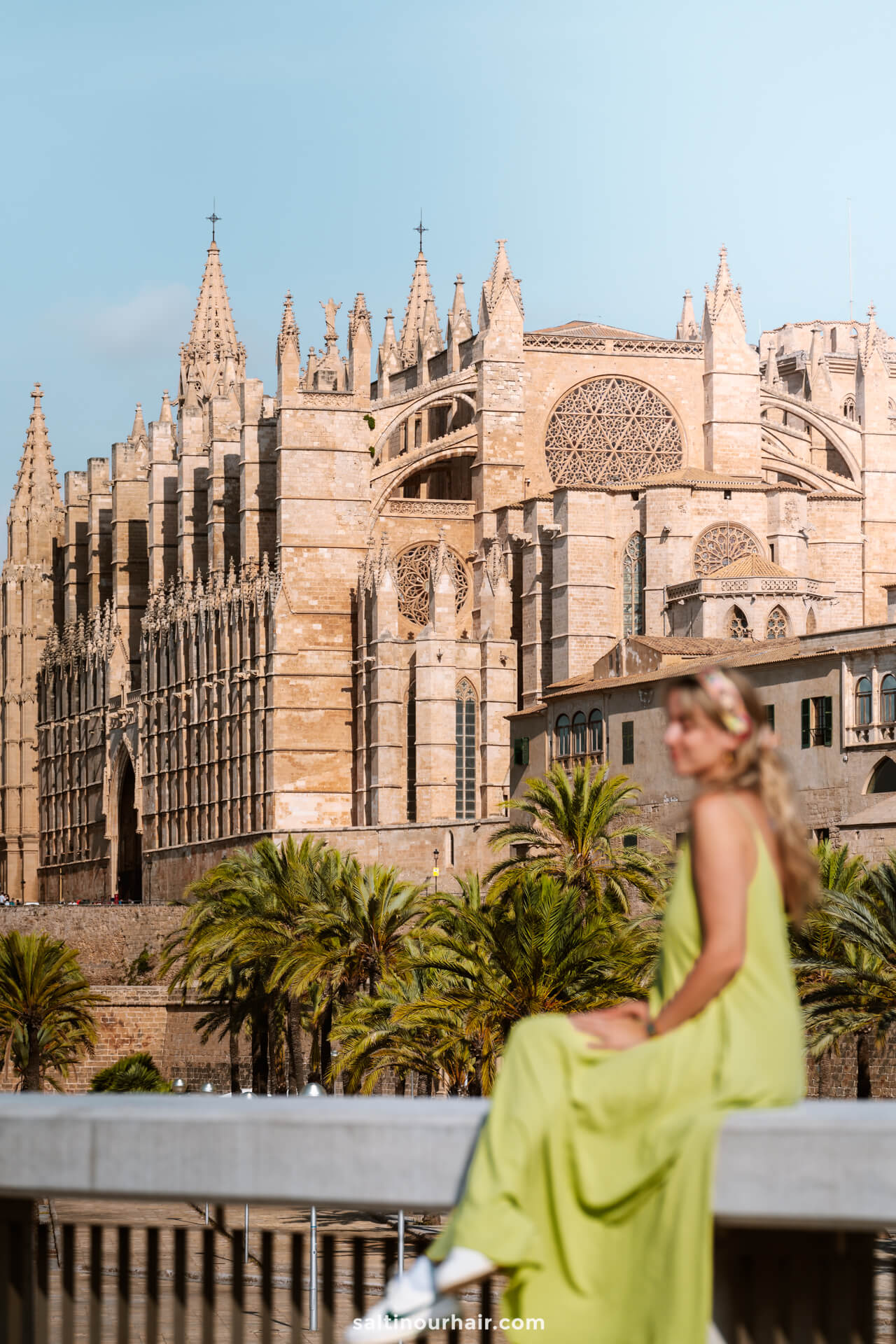 things to do in Palma Cathedral