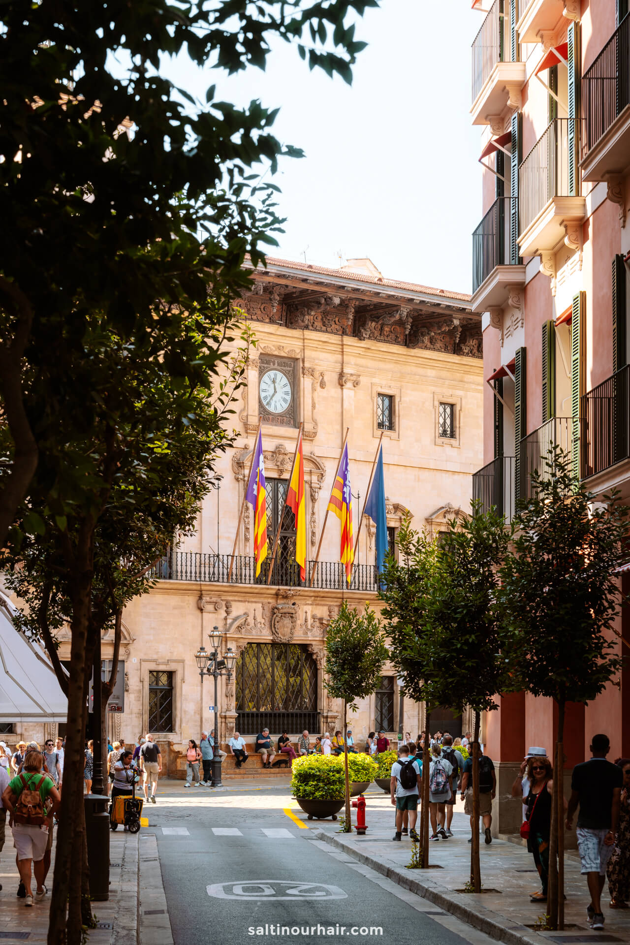 things to do in Palma streets old town