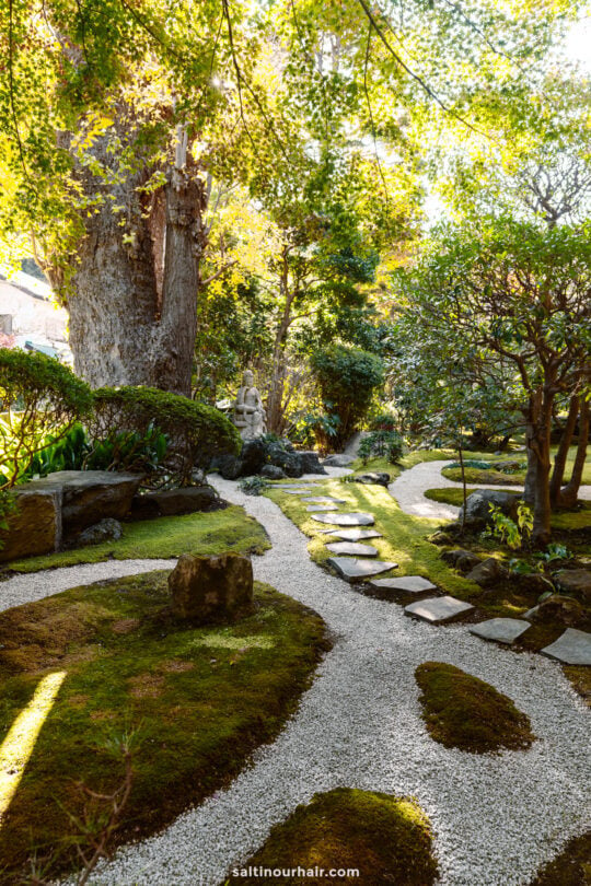 garden sunset Japan