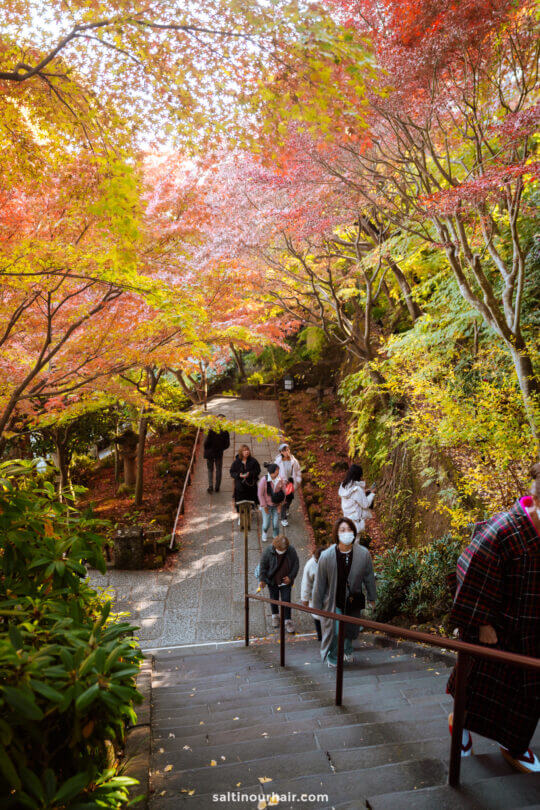 Kamakura garden japan 2 week itinerary