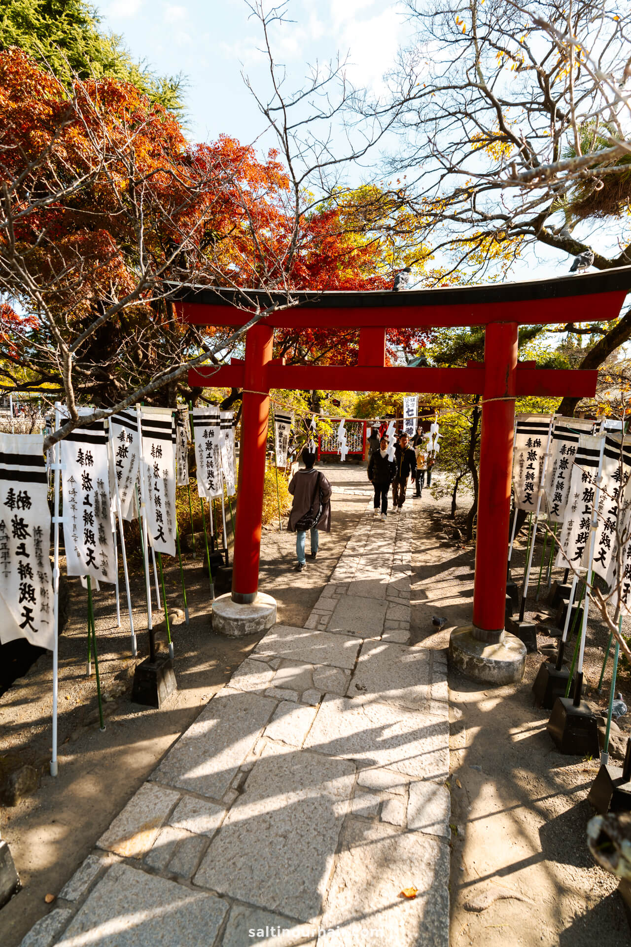 tori gate Tsurugaoka HachimangÅ« sunset Kamakura Japan