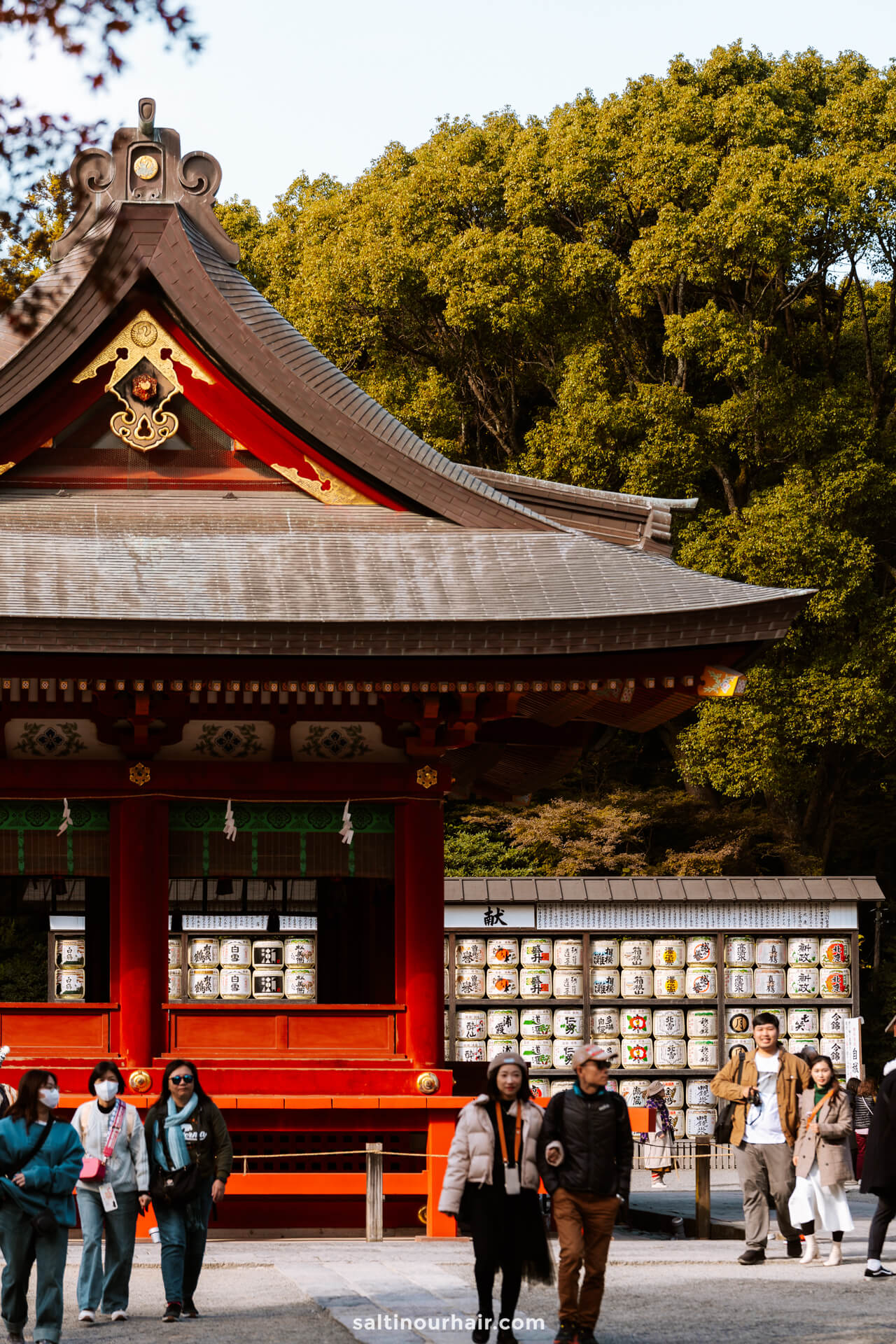 Kamakura temple japan 2 week itinerary