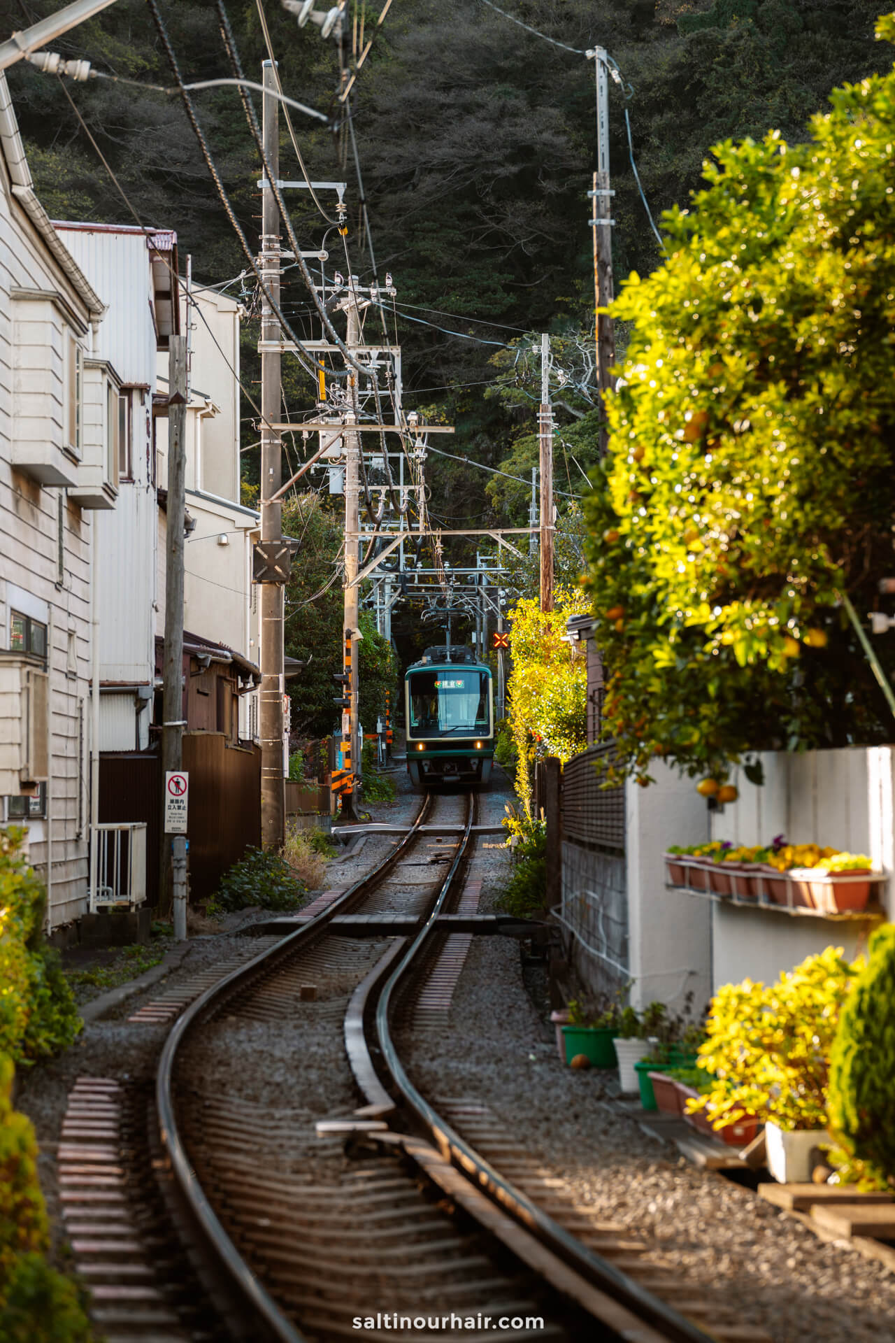 coast train line sunset Kamakura Japan