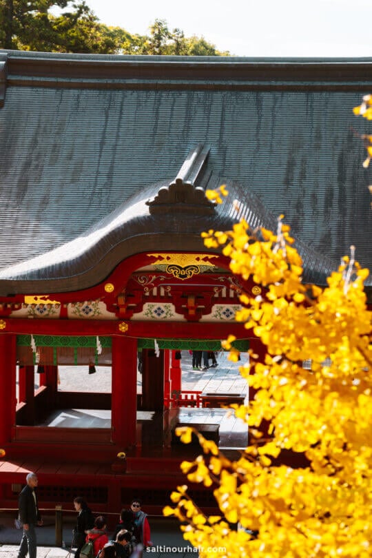 temple door sunset Japan