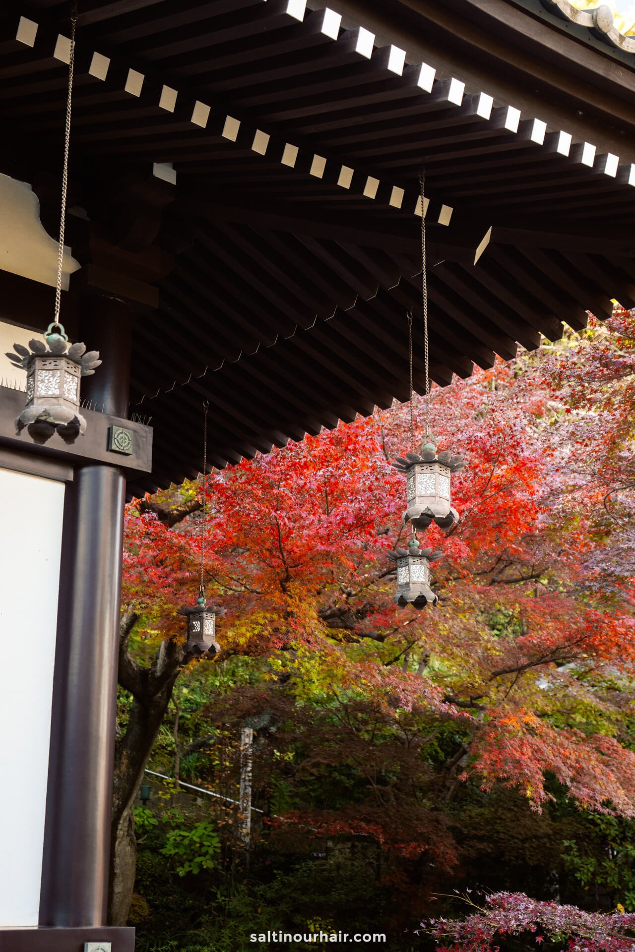 where to stay in Kamakura Japan