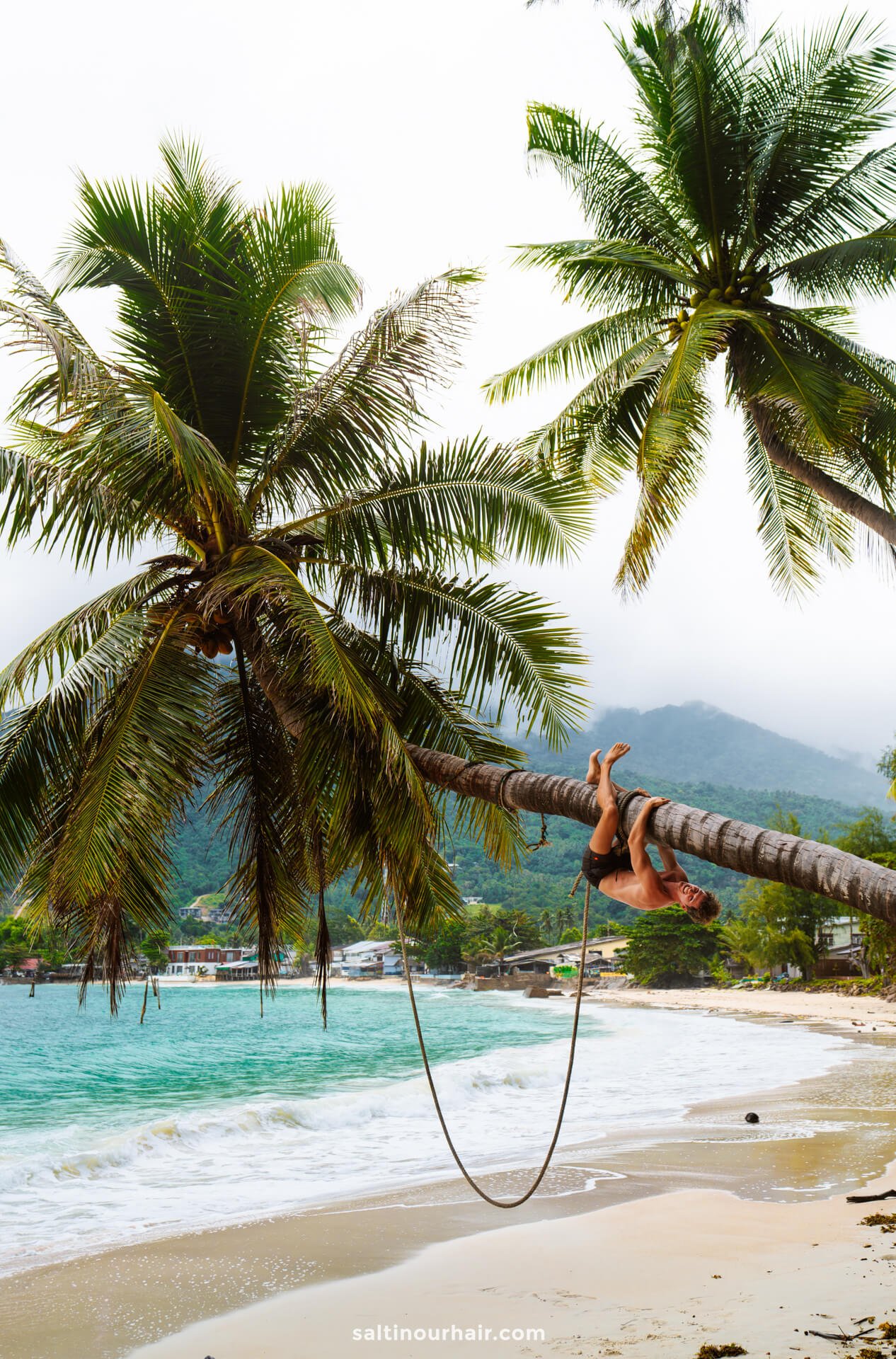 palmtree beach Koh Phangan thailand