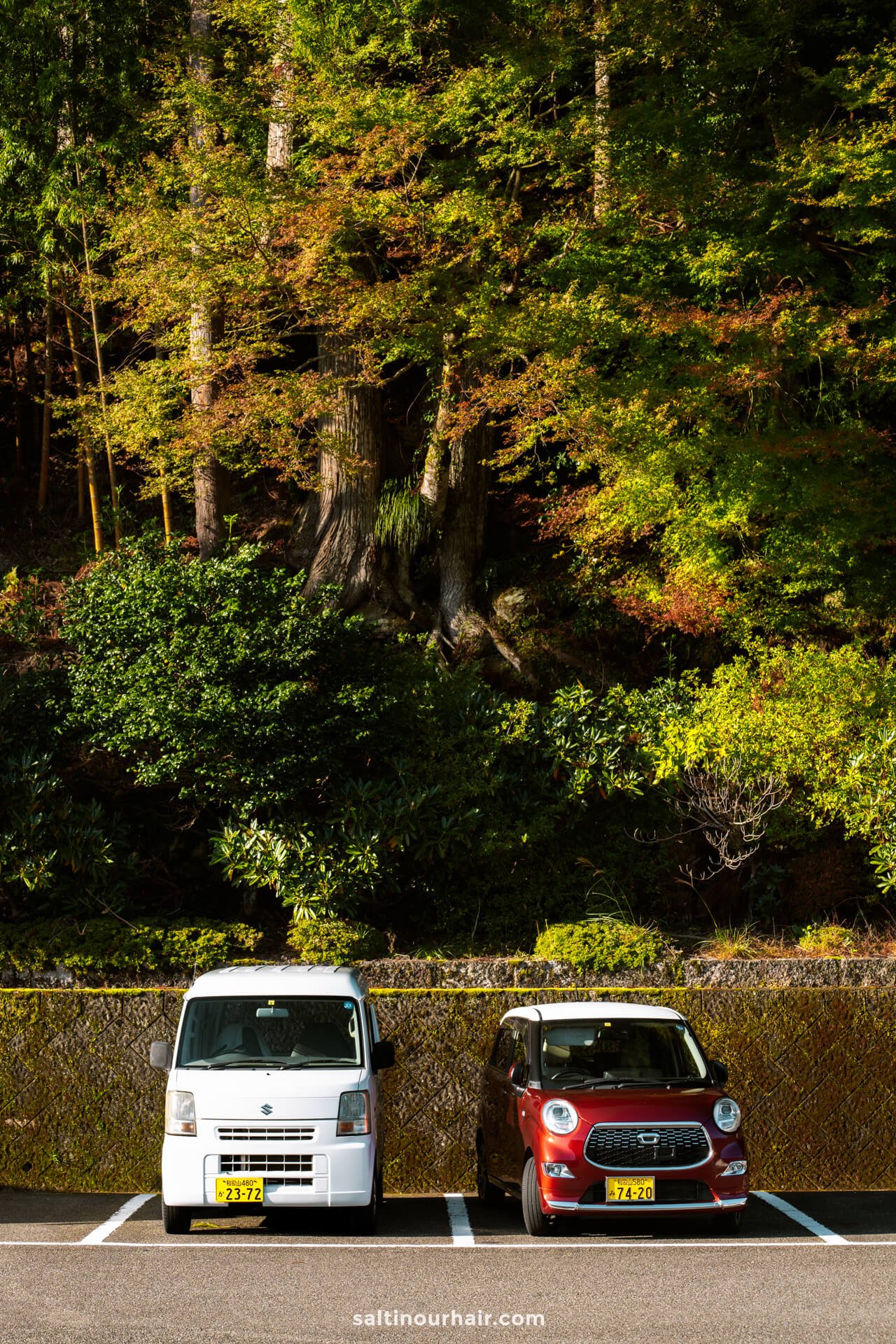 cars in japan
