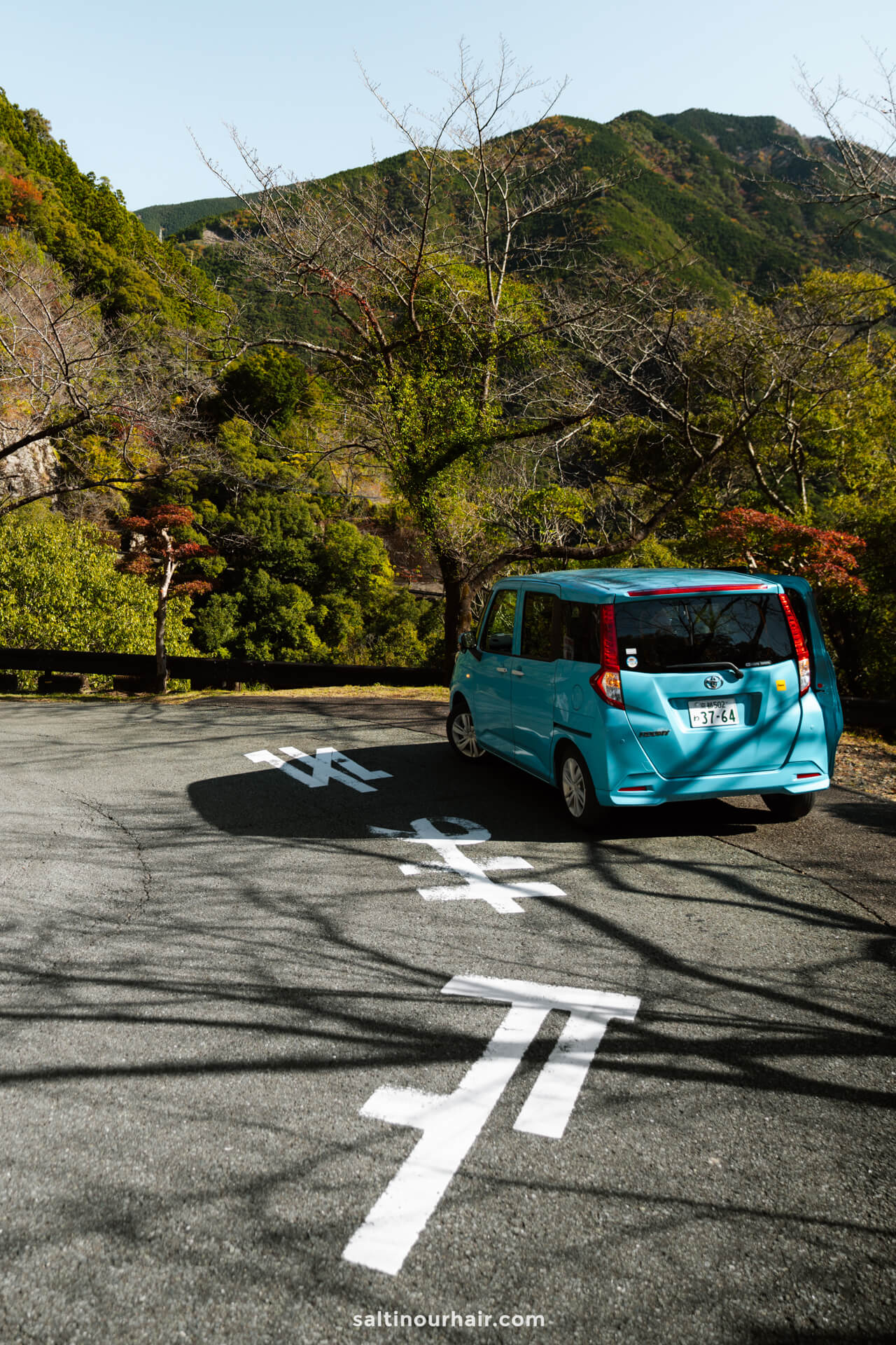 how to rent a car in Japan 