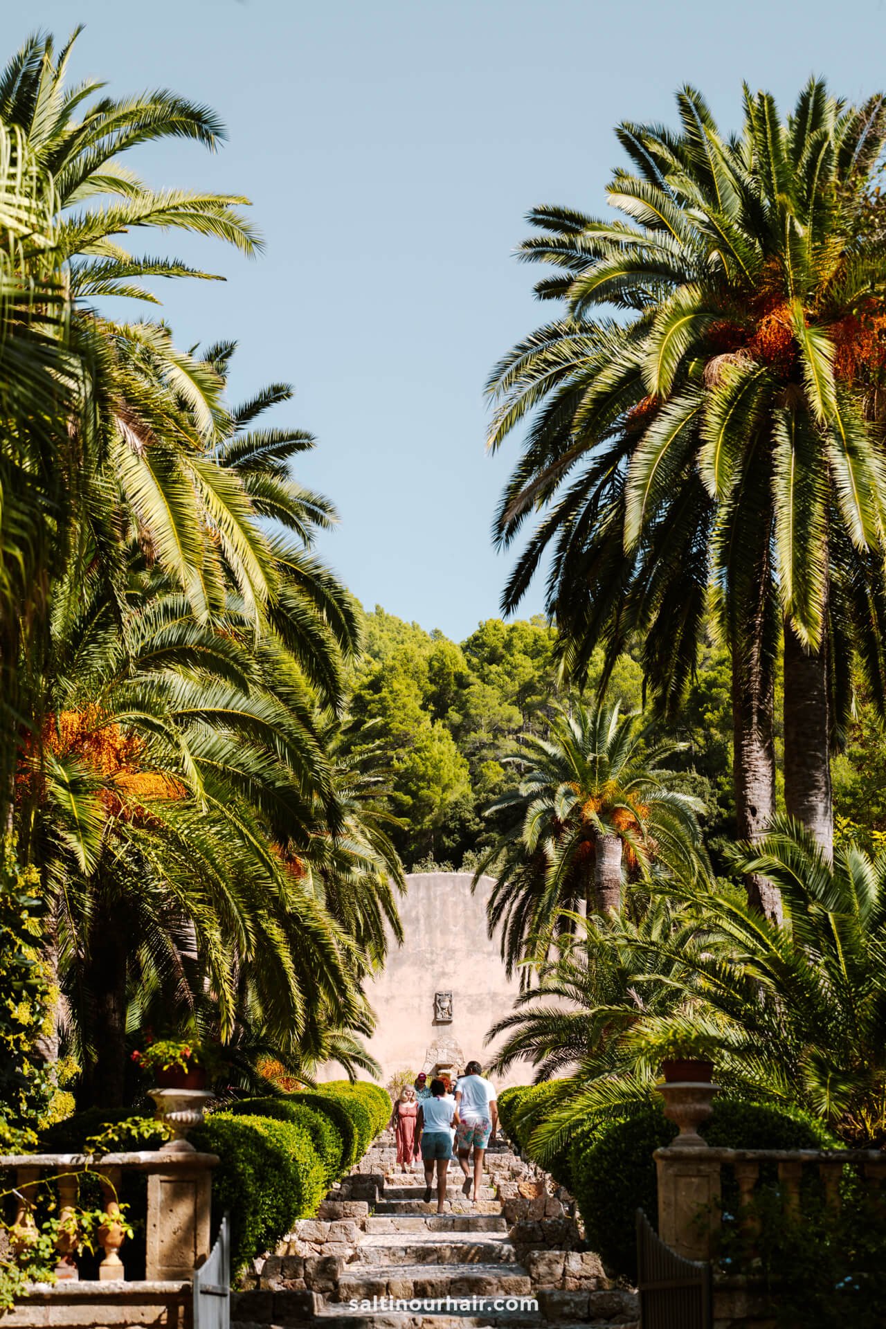 Jardins D'AlfÃ bia things to do in mallorca Spain