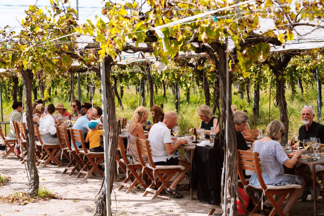 vineyard restaurant things to do in mallorca
