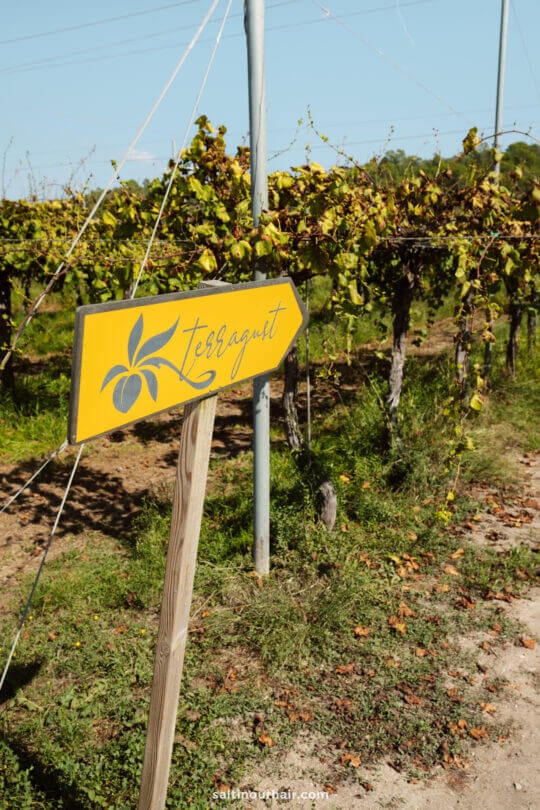 terragust vineyard entrance sign