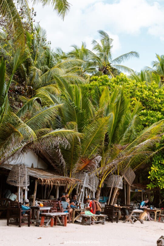 Beach restaurant palmtree Koh Phangan thailand