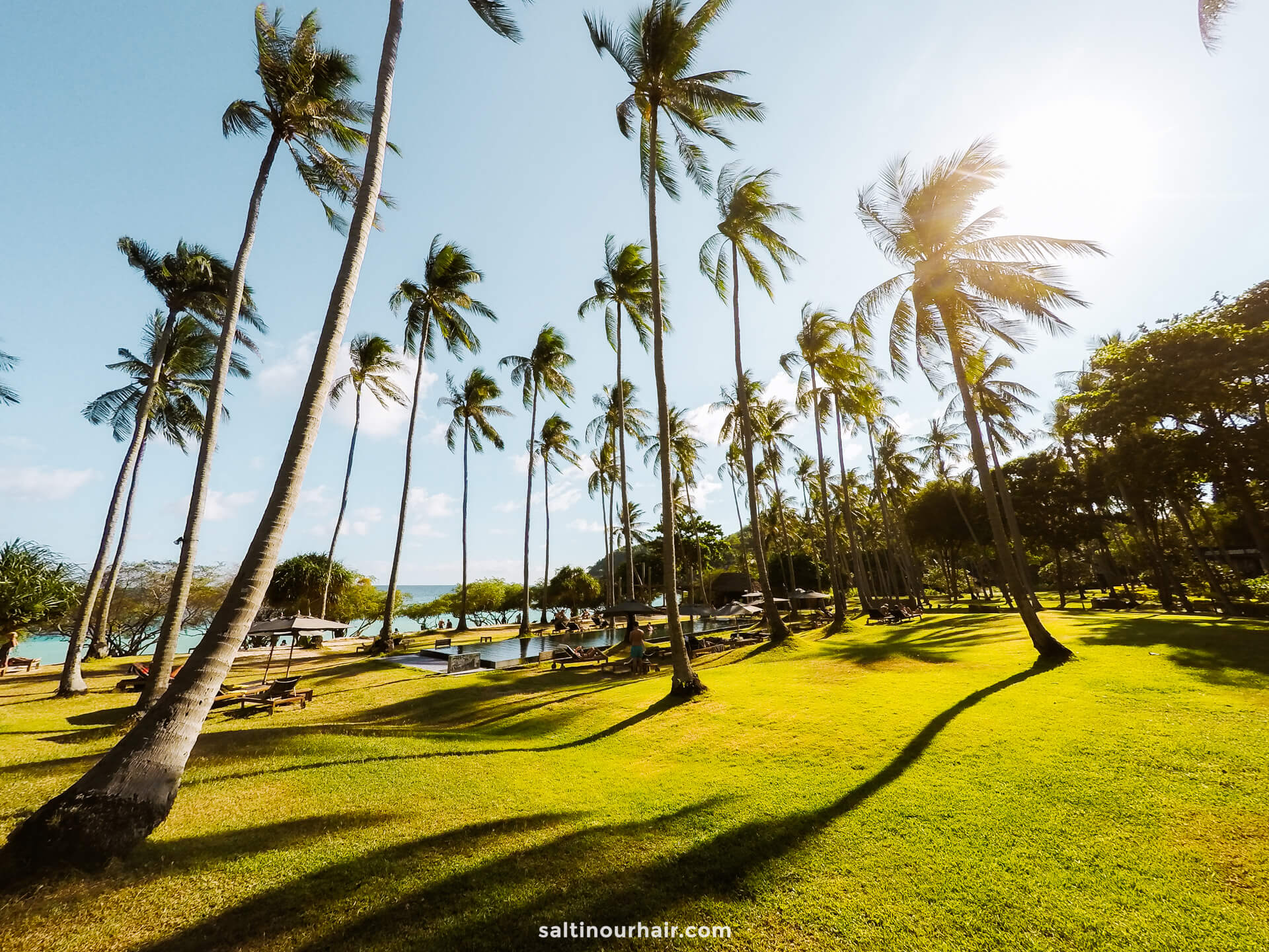 things to do in Koh Phangan Thailand Palmtrees hotel