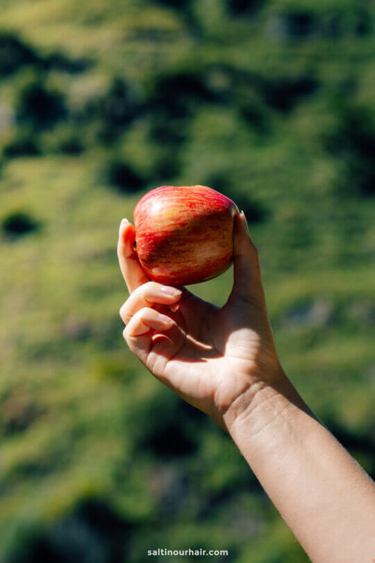 hike snack apple