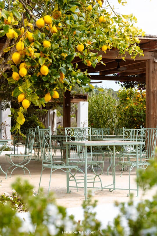 Outdoor patio with empty mint green metal tables and chairs under a wooden pergola, next to a lemon tree with ripe lemonsâ€”perfect for relaxing at a garden restaurant in Ibiza.