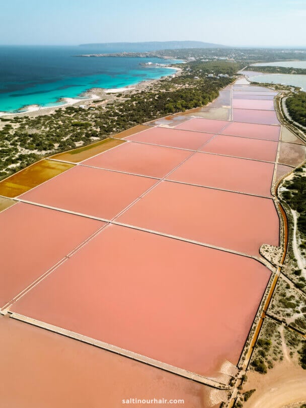 Aerial view of rectangular pink salt ponds near a turquoise coastline in Formentera, Balearic Islands, surrounded by greenery and hills in the background.