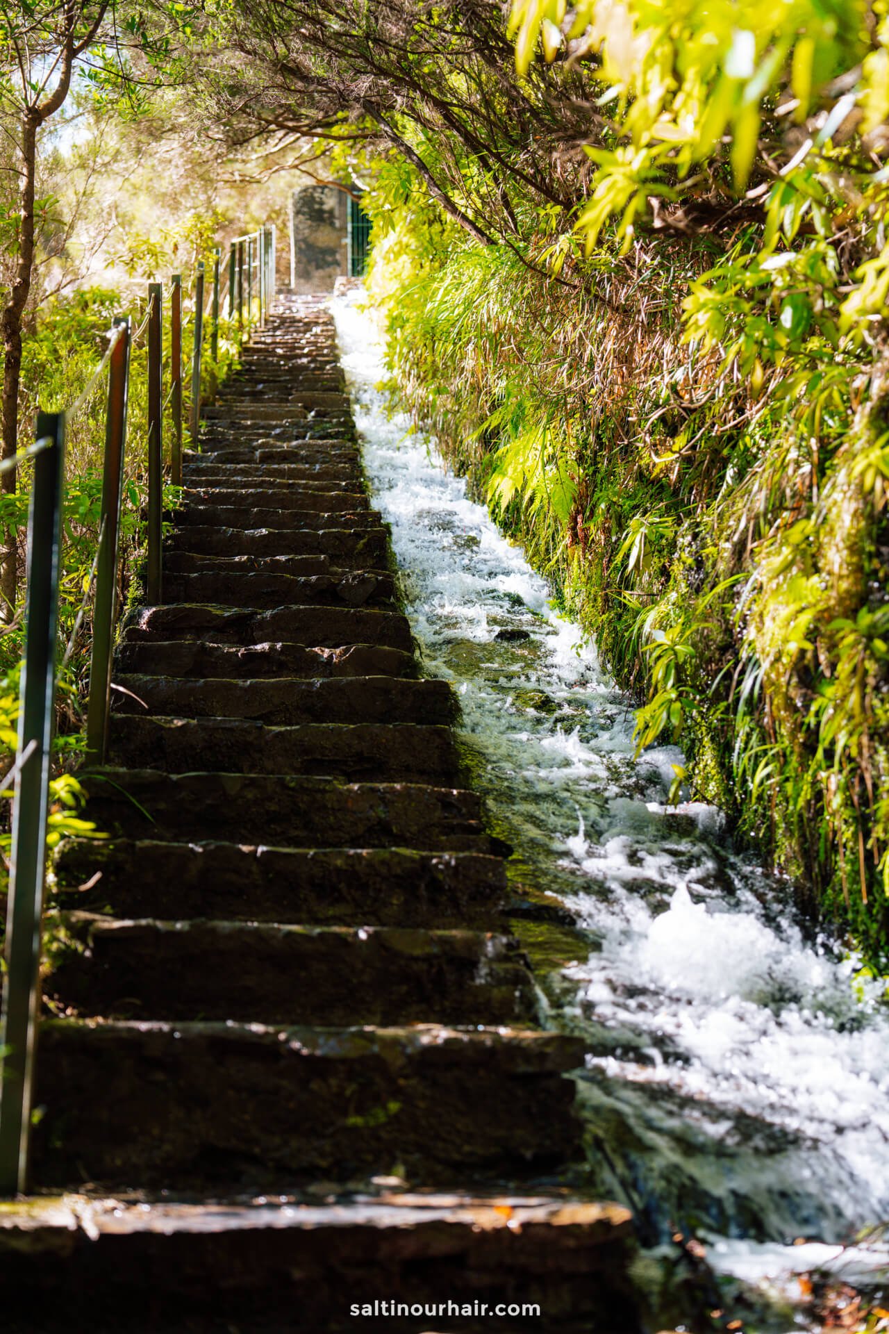 levada das 25 fontes hike madeira staircase waterfall