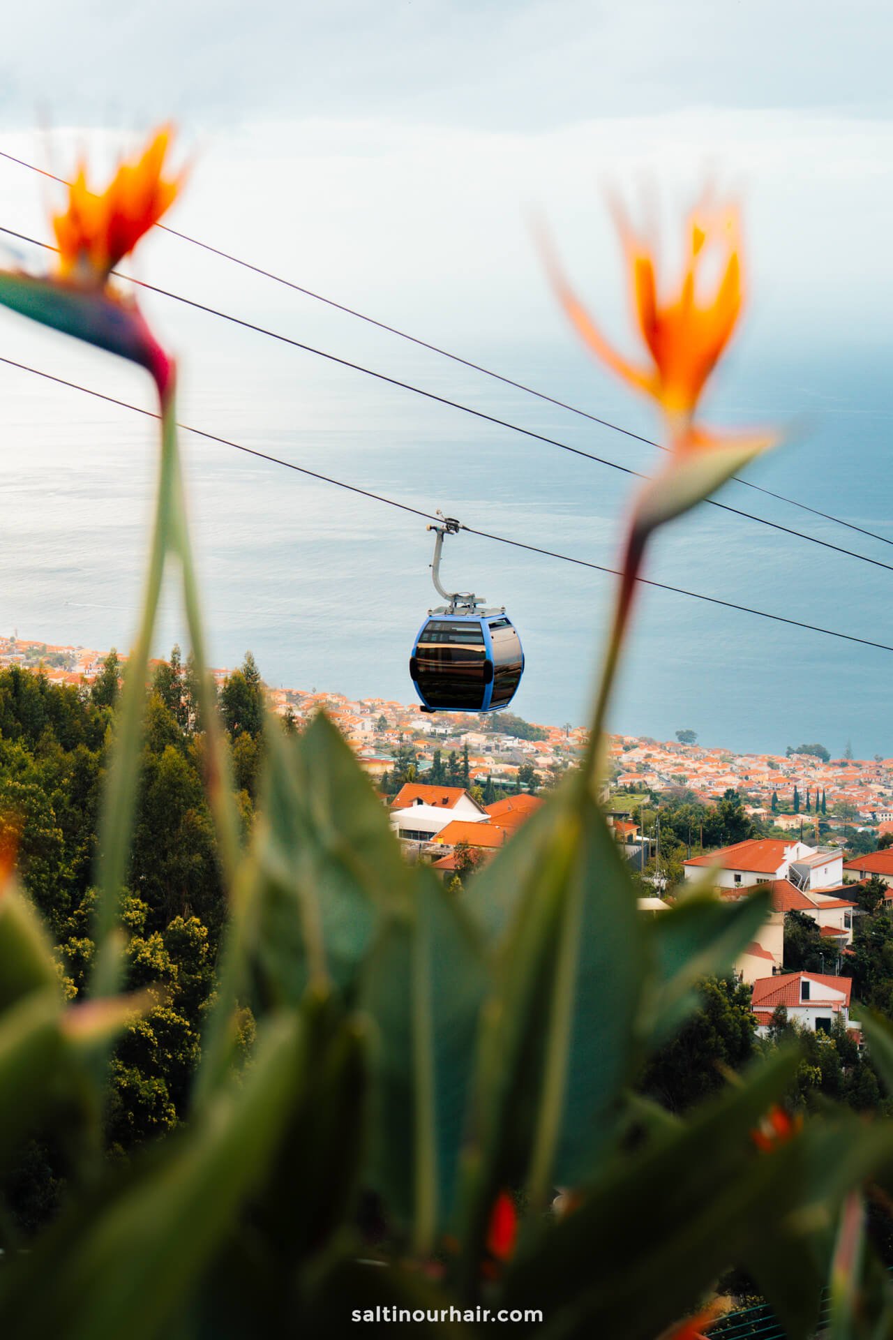 cable car funchal madeira