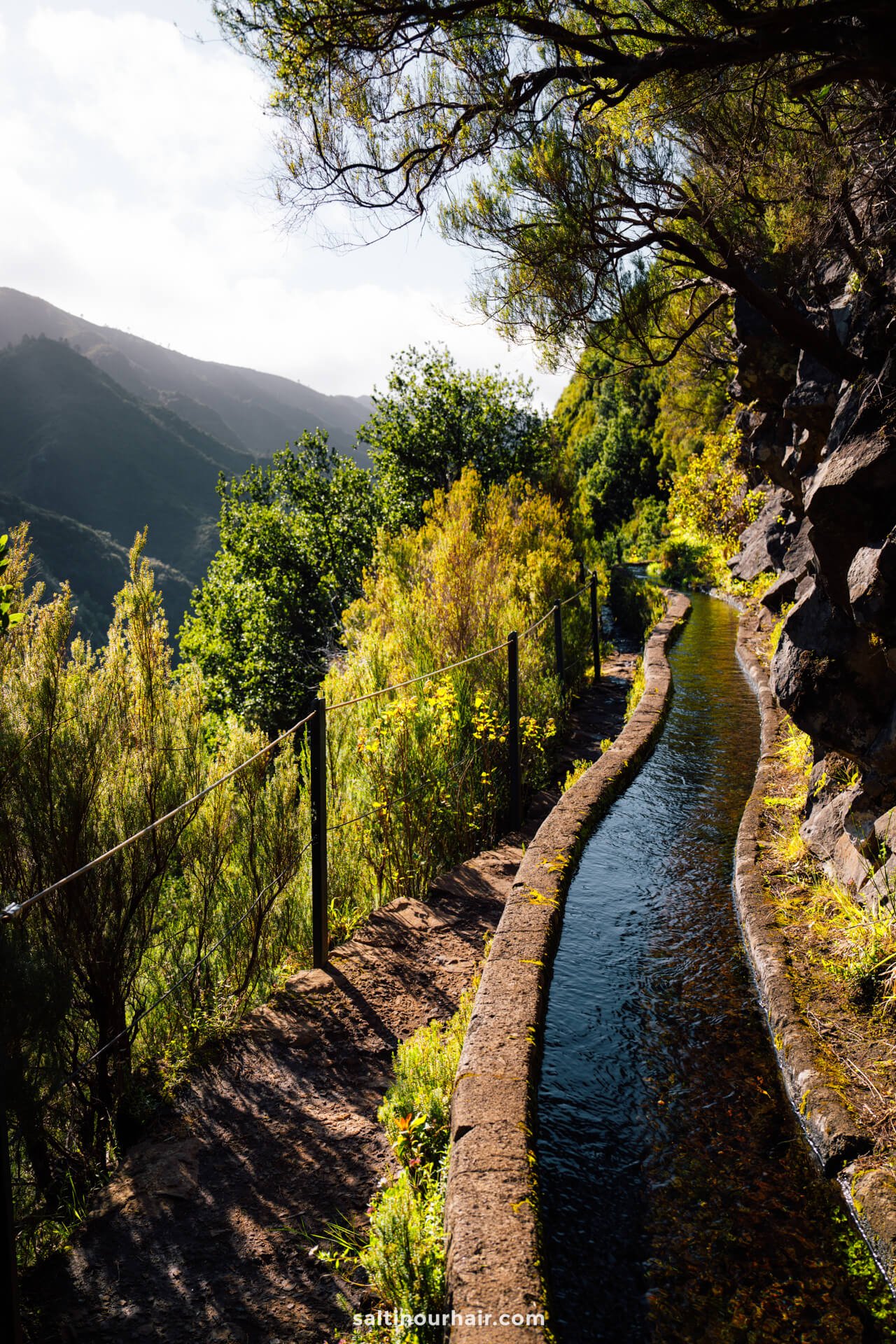 levada das 25 fontes pr6 hike madeira