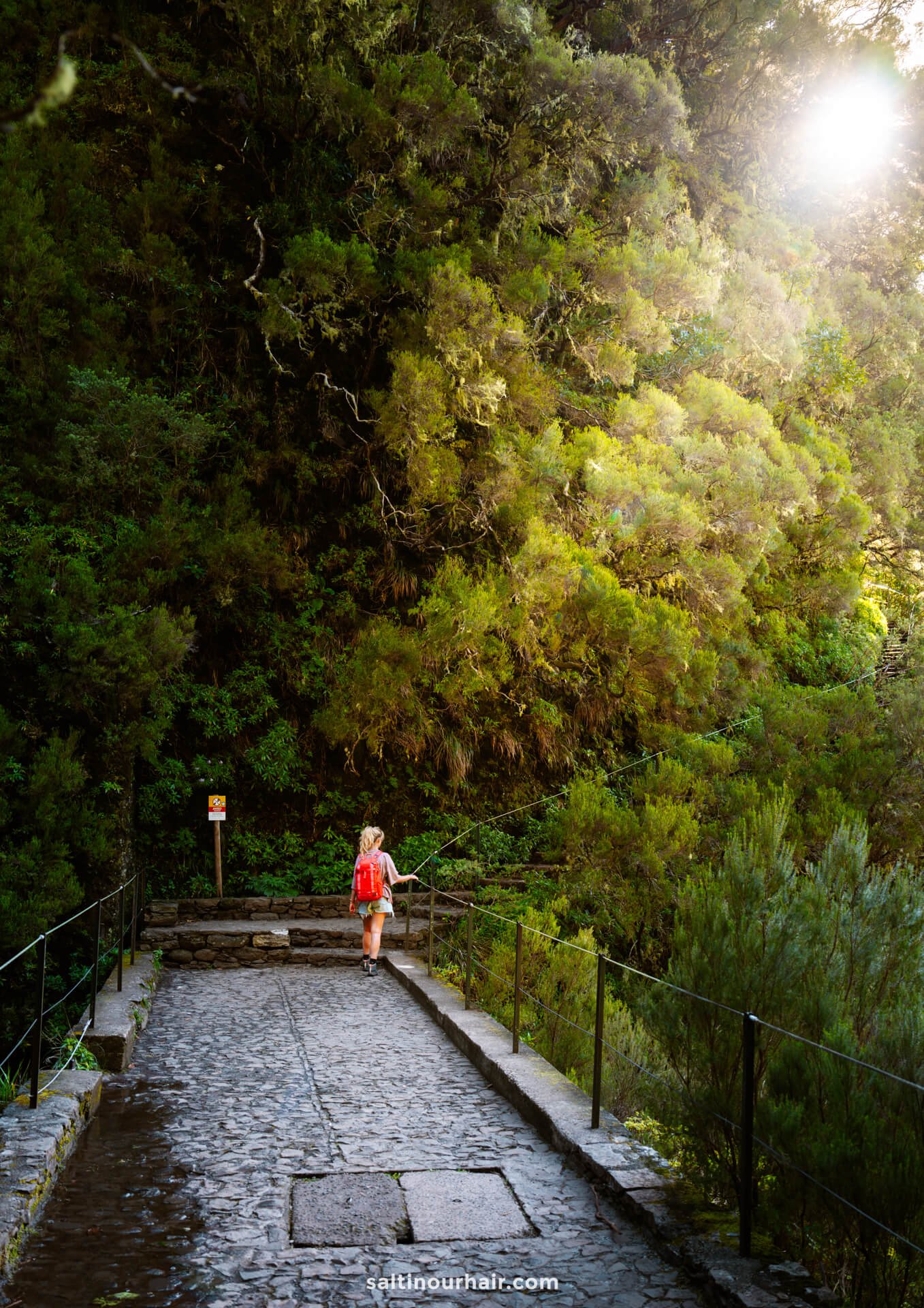 levada das 25 fontes trail madeira