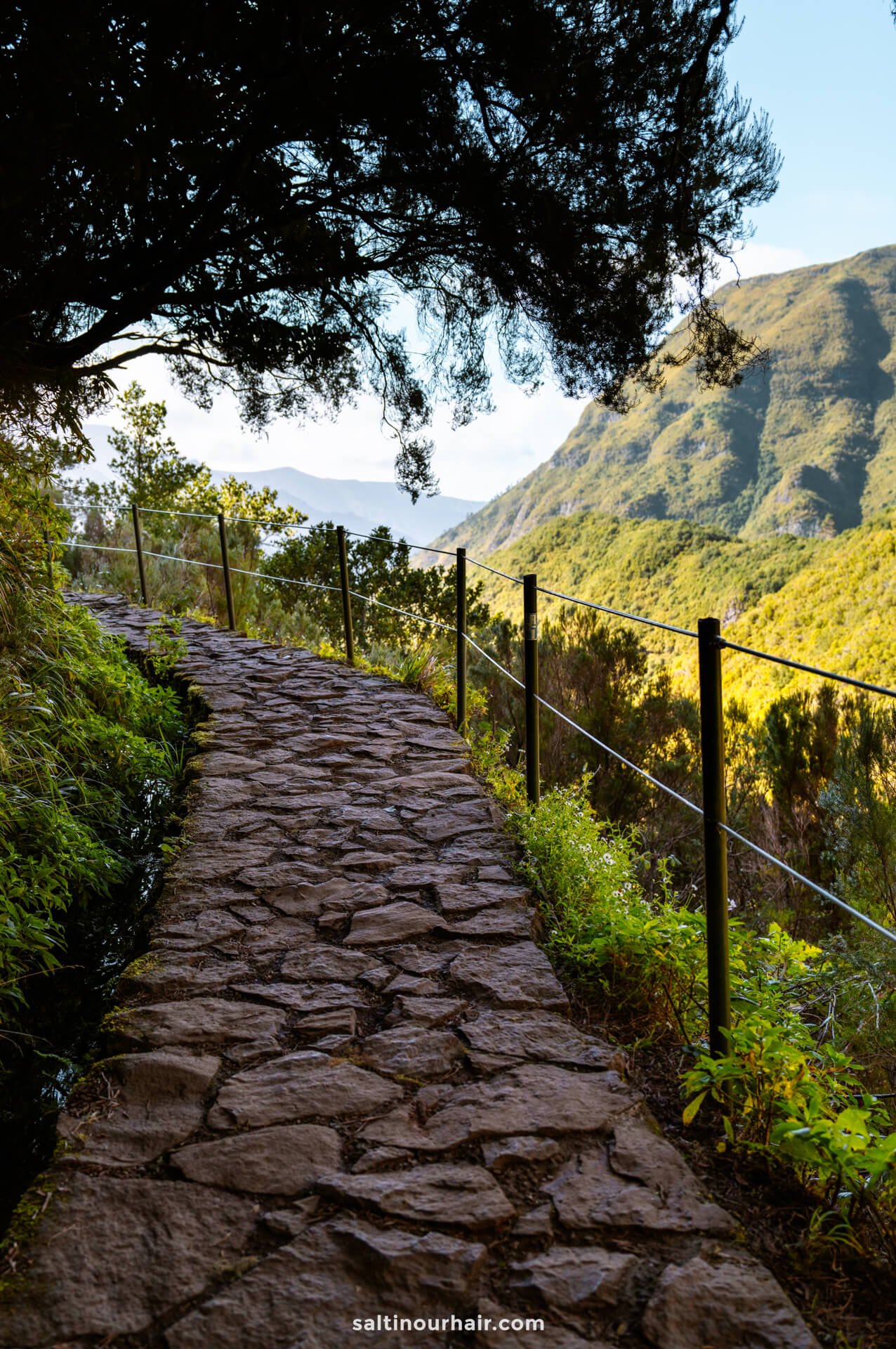 hiking trail levada das 25 fontes madeira