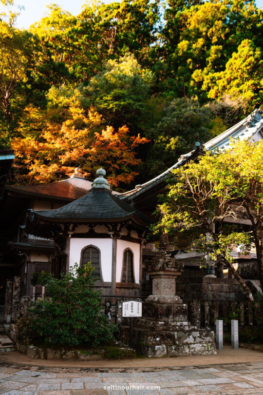 complete guide to nachi falls japan 